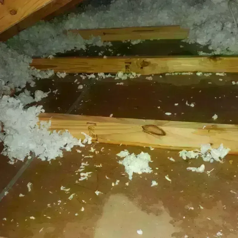 Attic Water Damage in Mattapoisett, MA